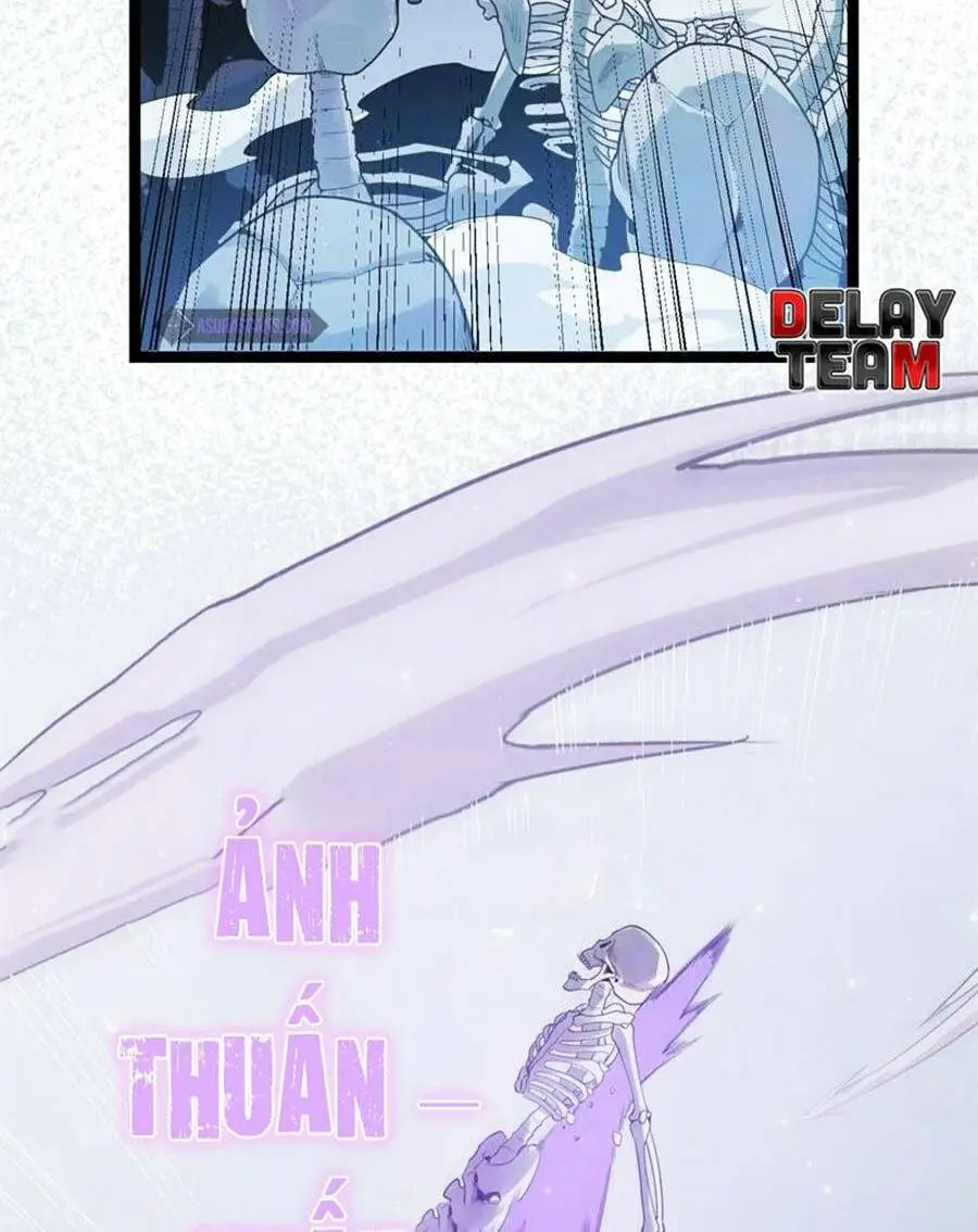 Chapter 49