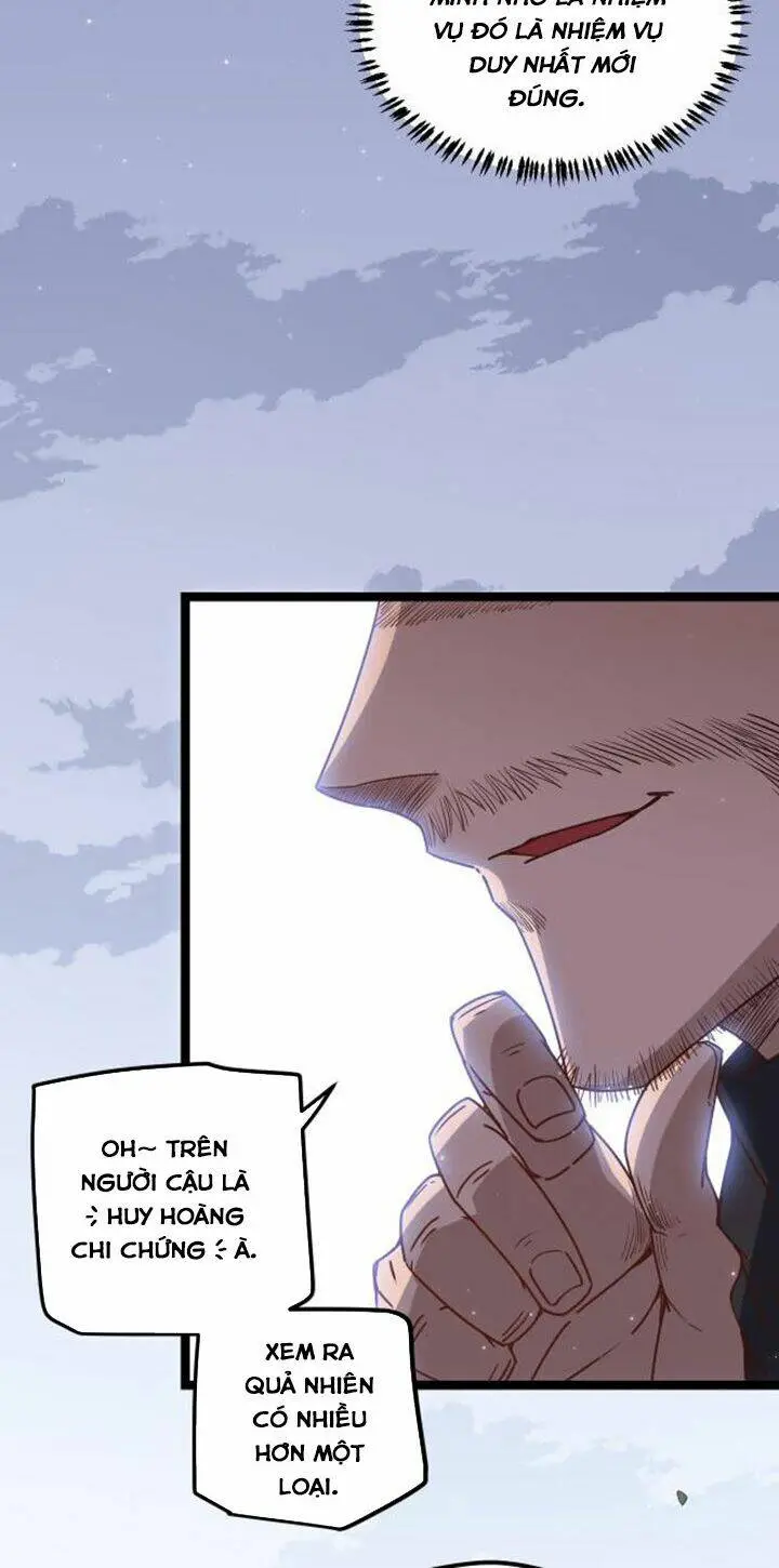 Chapter 31