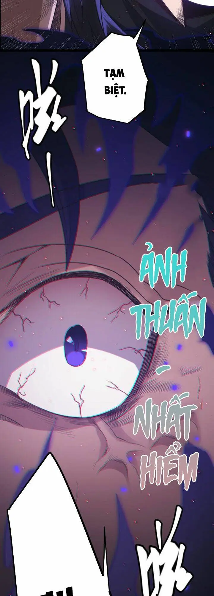 Chapter 28