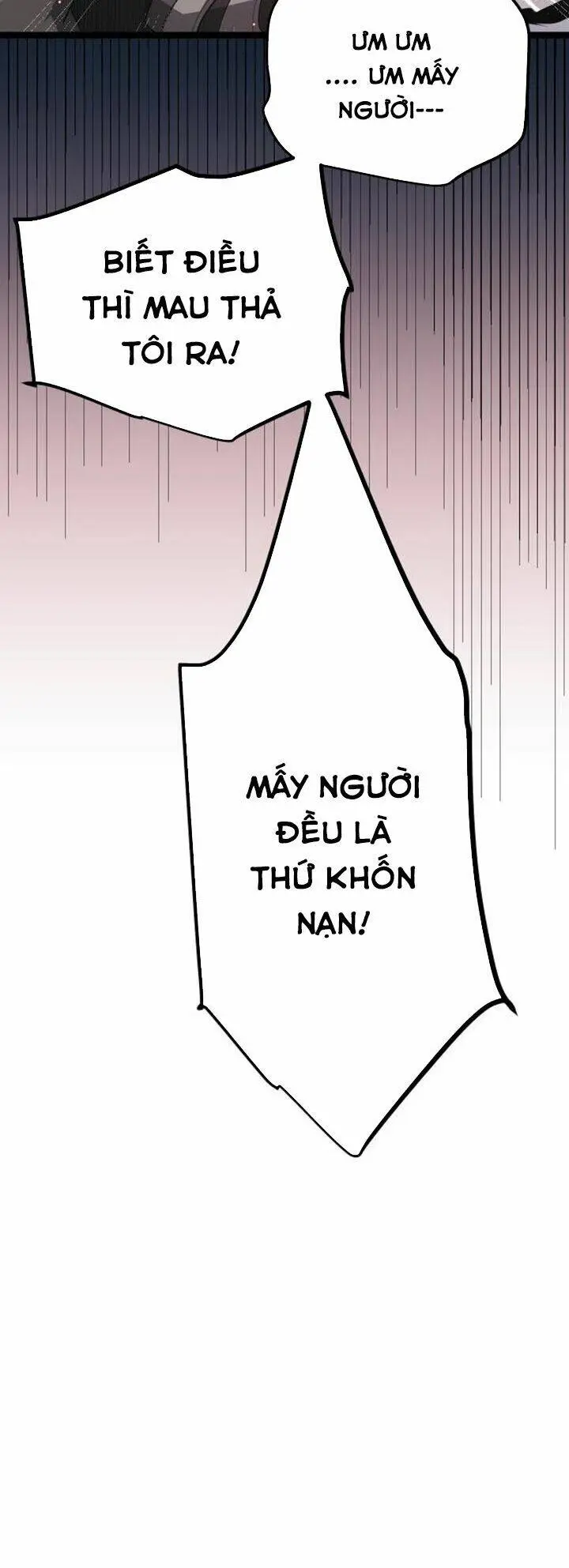 Chapter 25