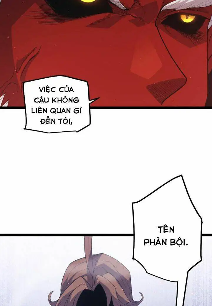 Chapter 23