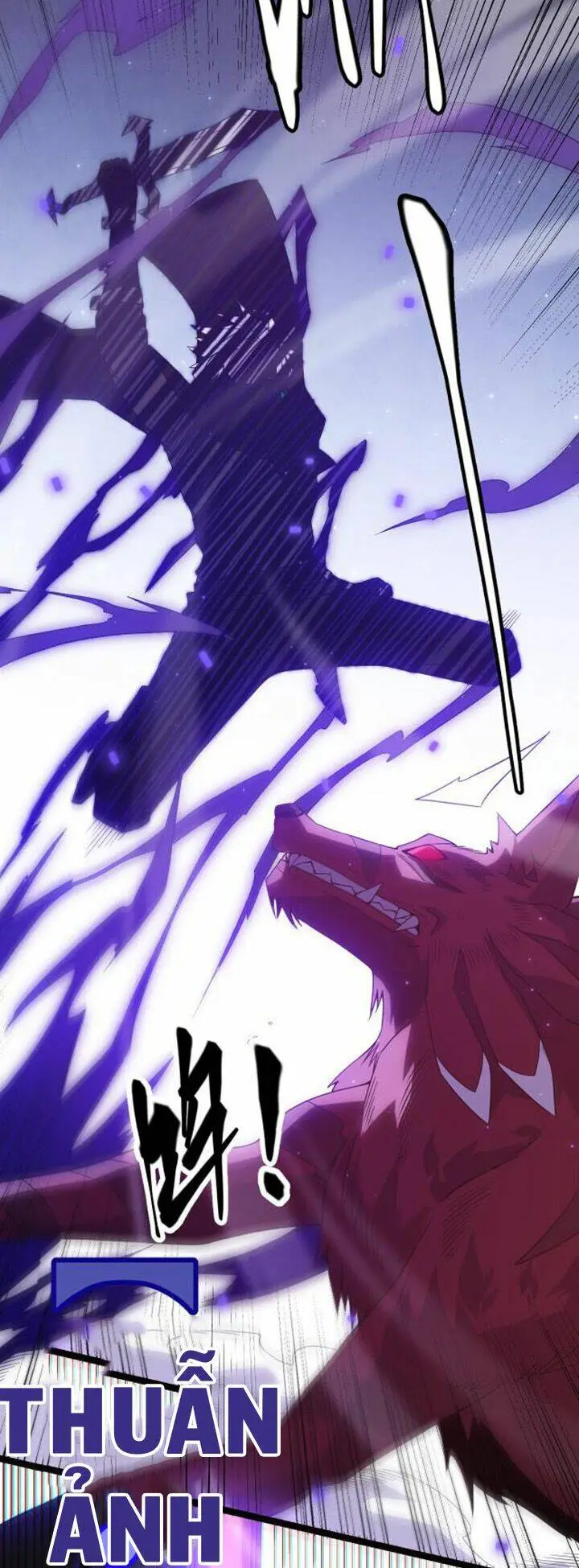 Chapter 20