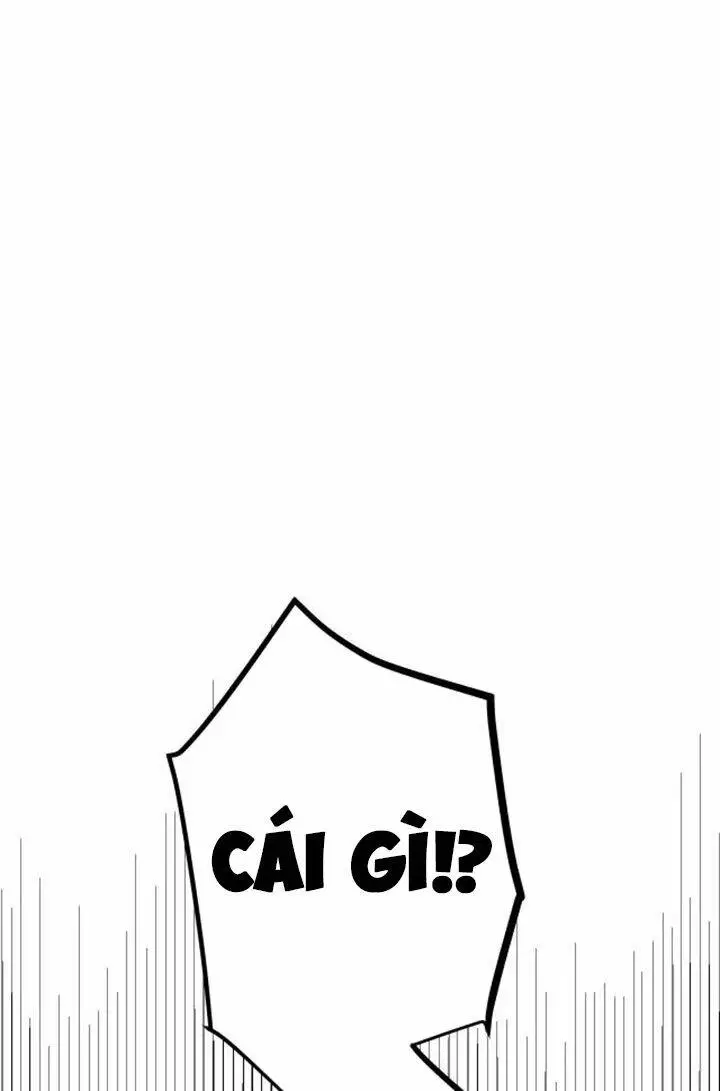 Chapter 20