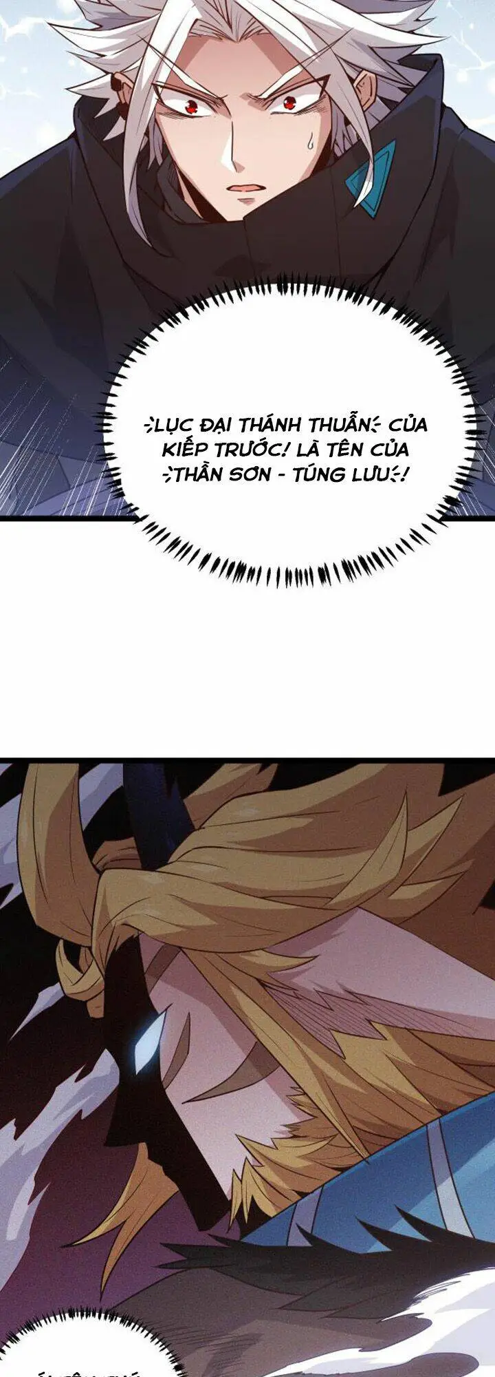Chapter 20