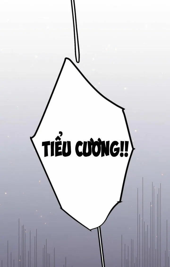 Chapter 12