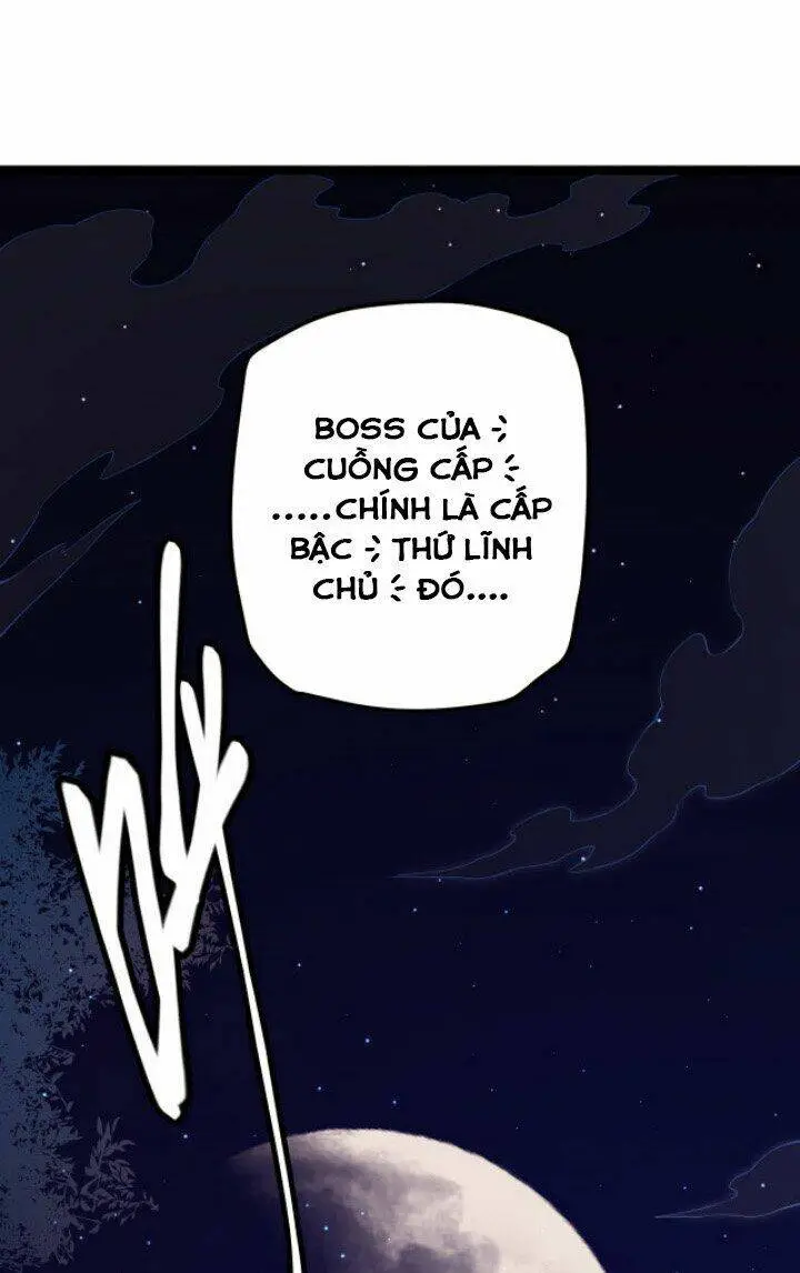 Chapter 11
