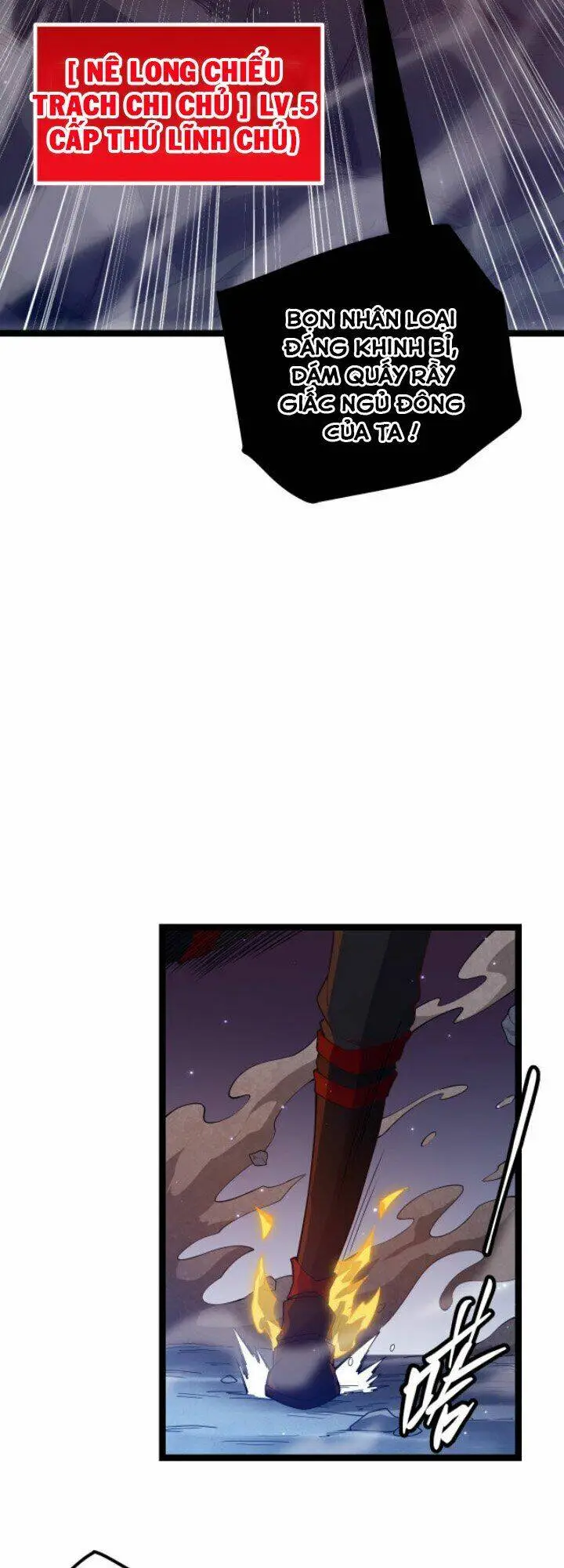 Chapter 11