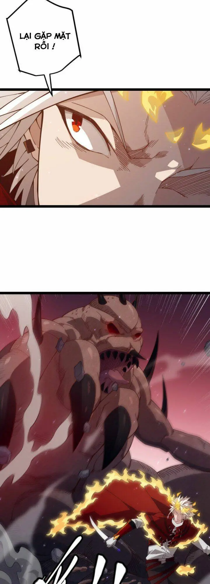 Chapter 11