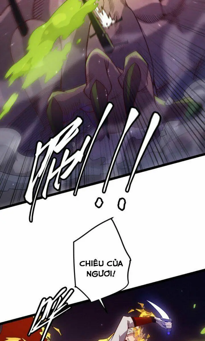 Chapter 11