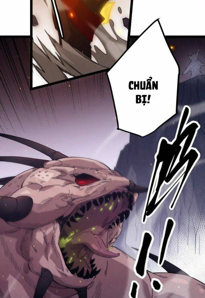 Chapter 11