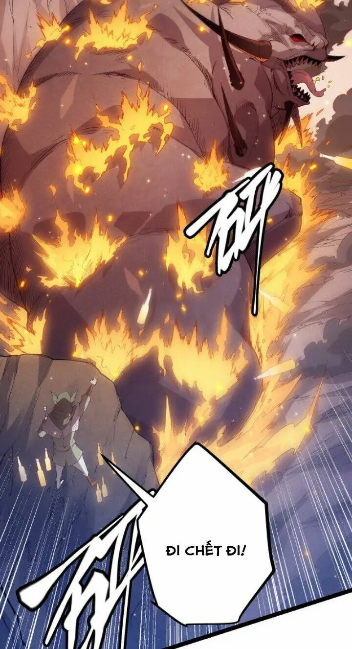 Chapter 11