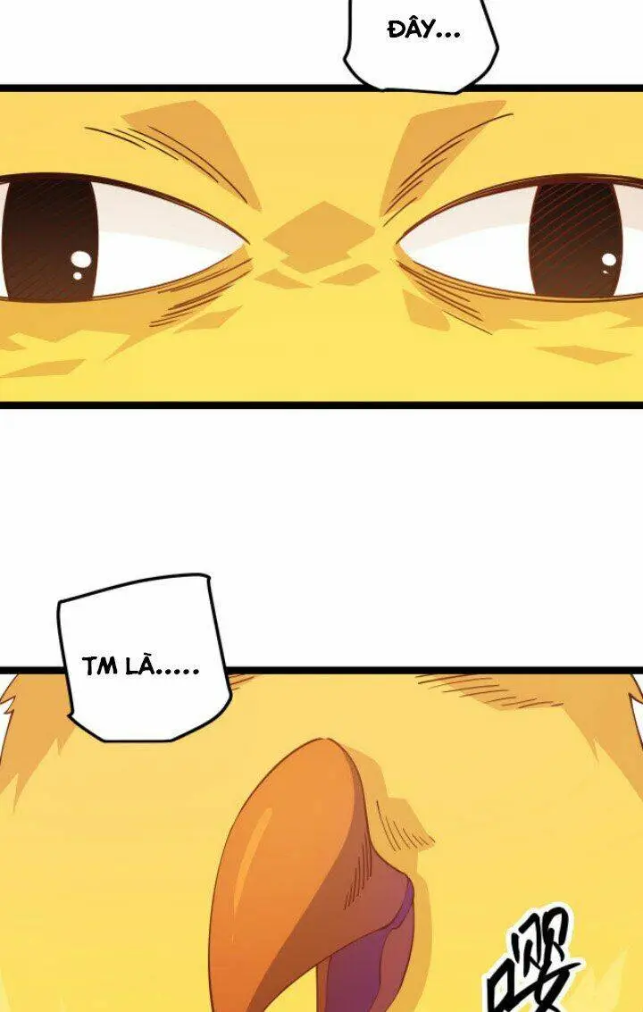 Chapter 10