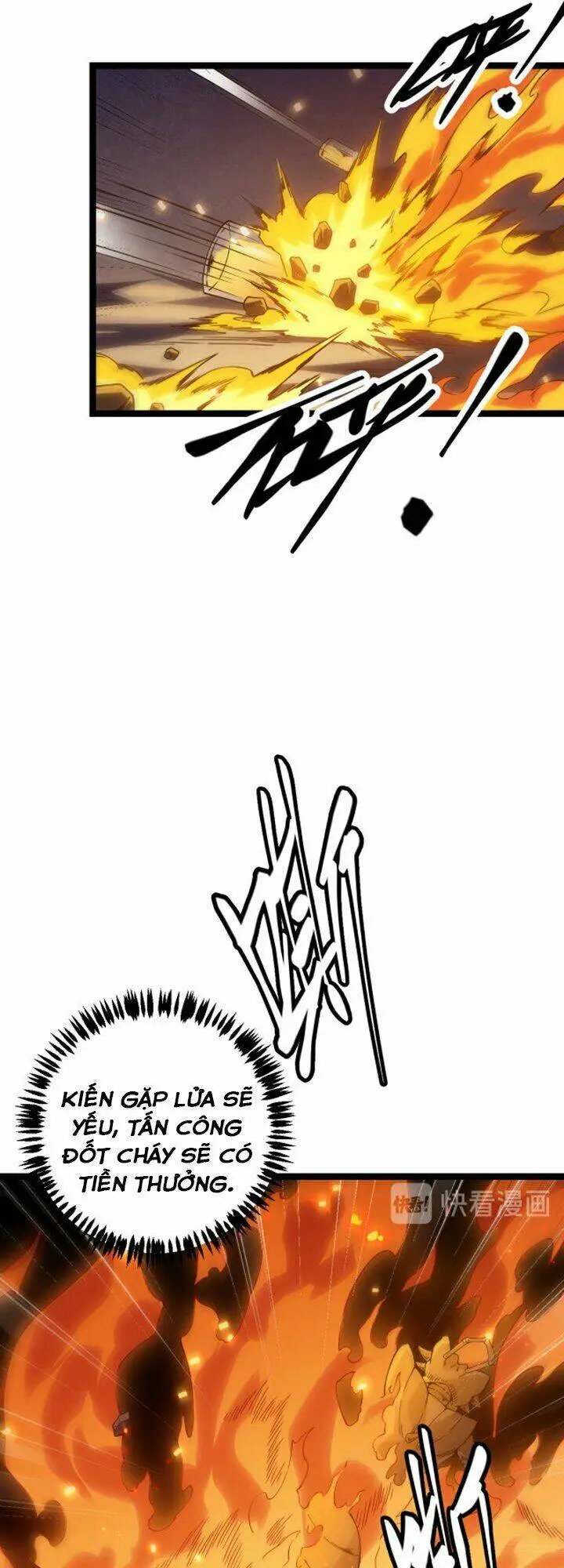 Chapter 7