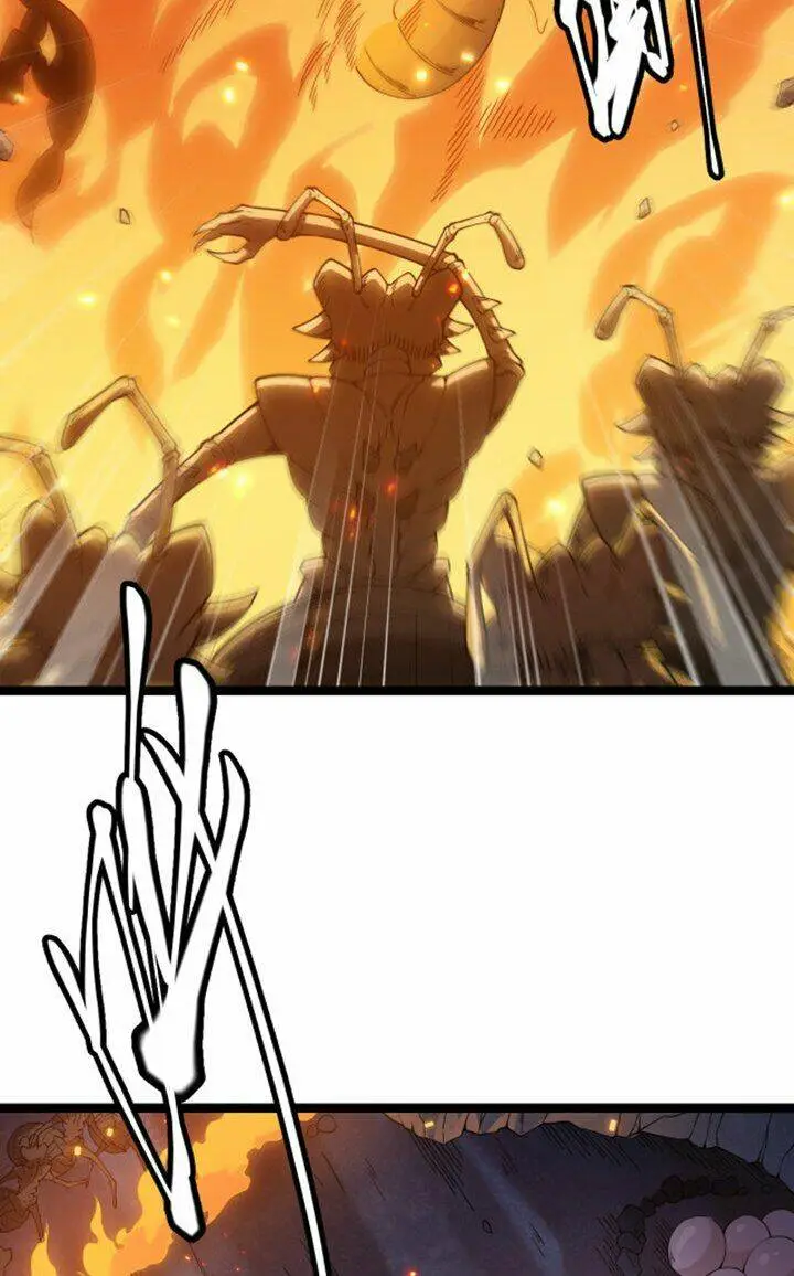Chapter 7