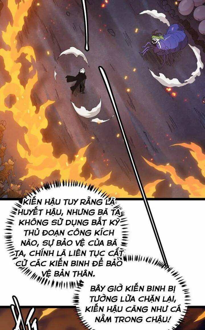 Chapter 7