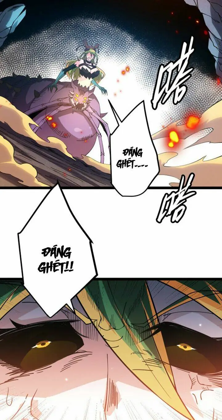 Chapter 7