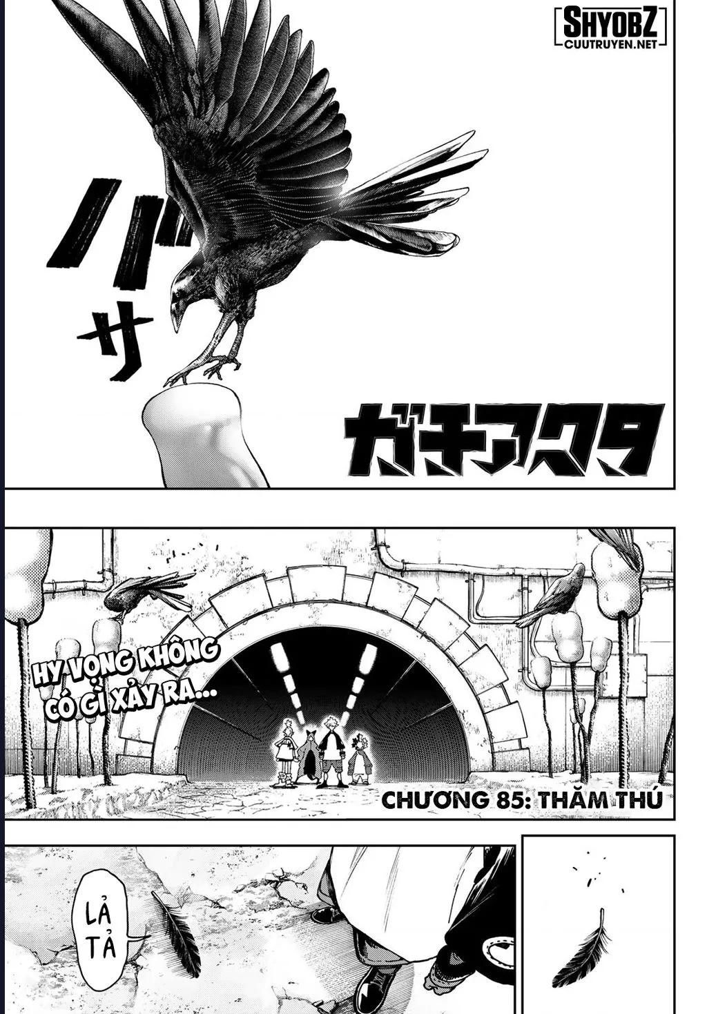 Chapter 85