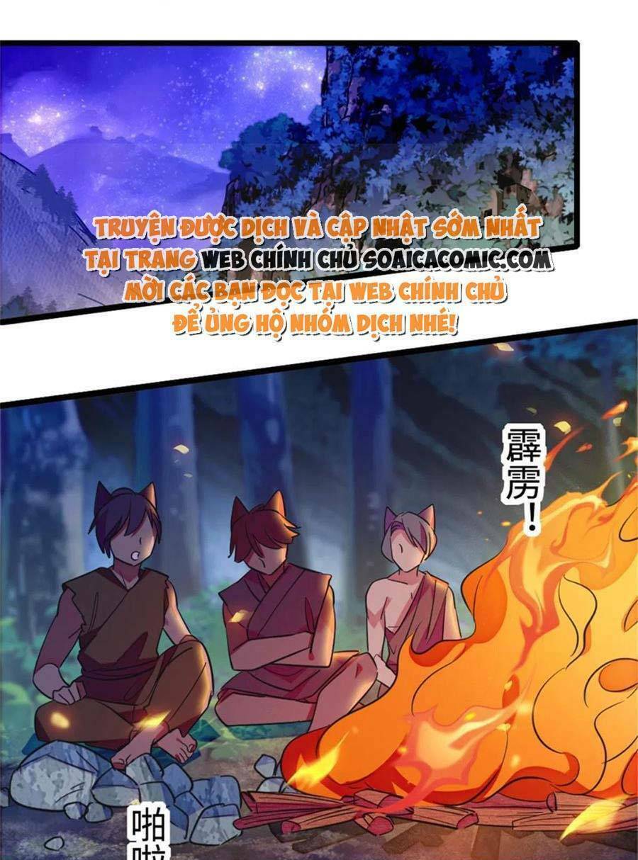 Chapter 114