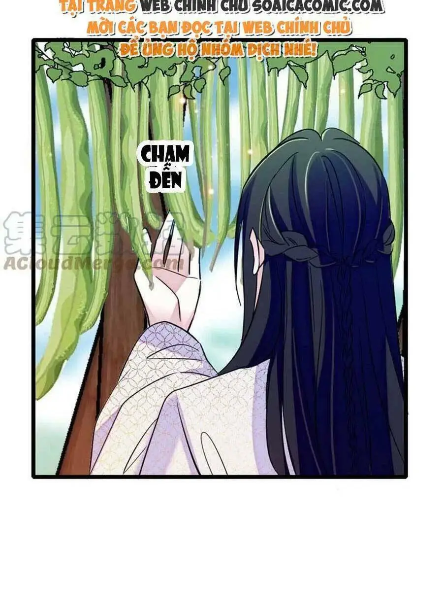 Chapter 96