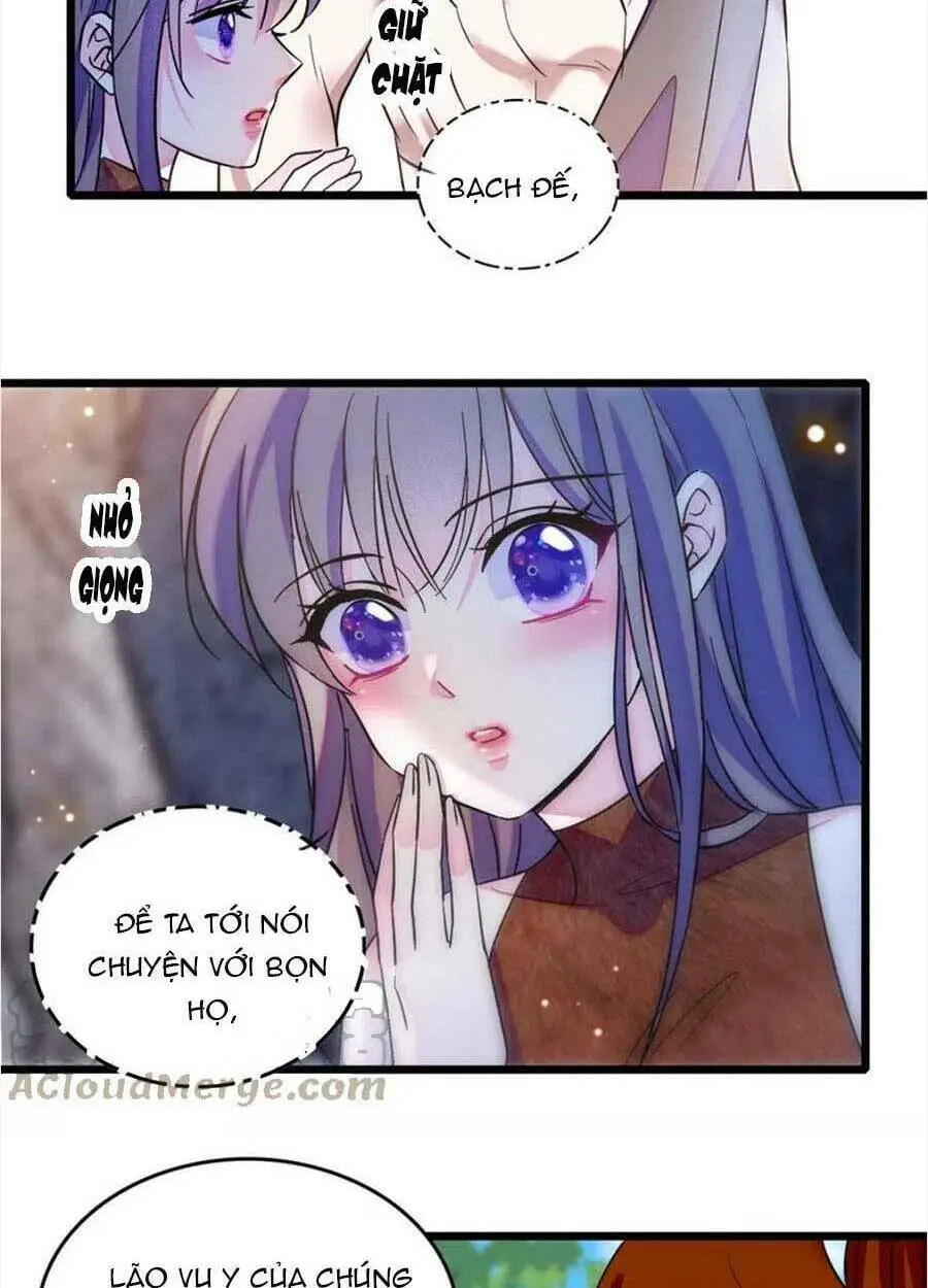 Chapter 85