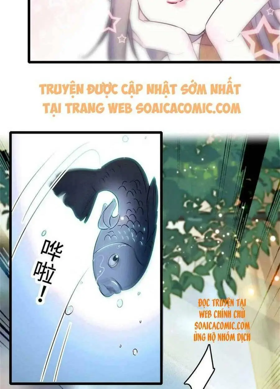 Chapter 71