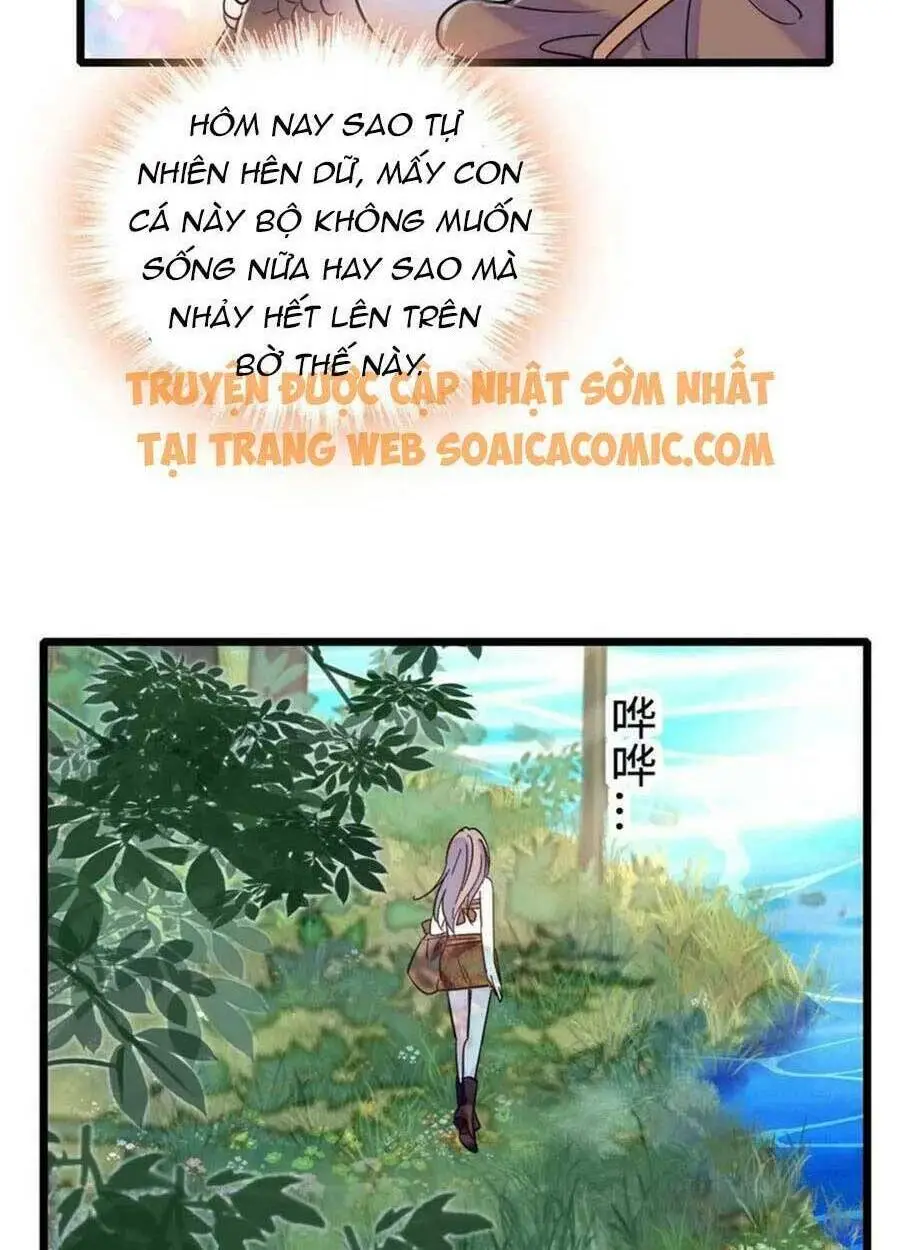 Chapter 71