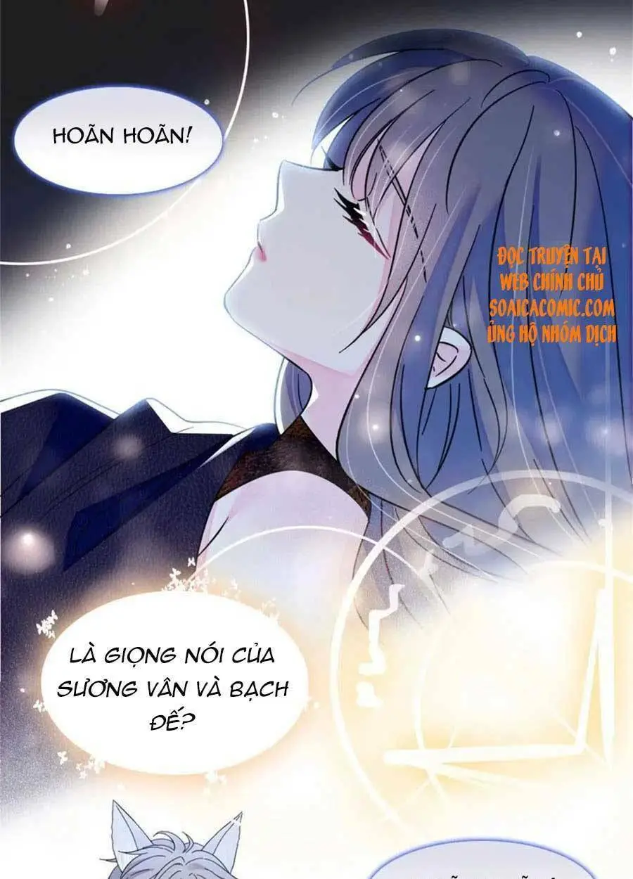 Chapter 55