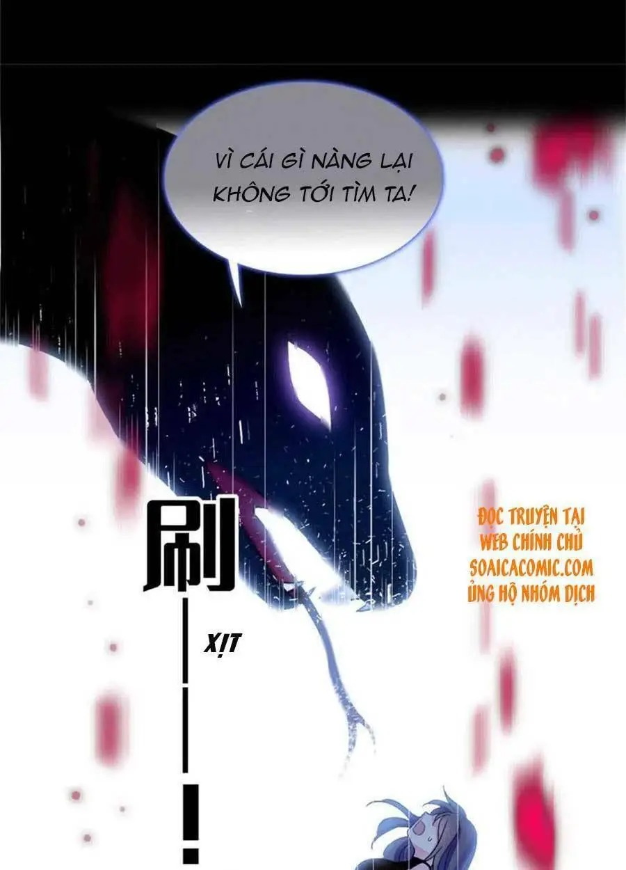 Chapter 55