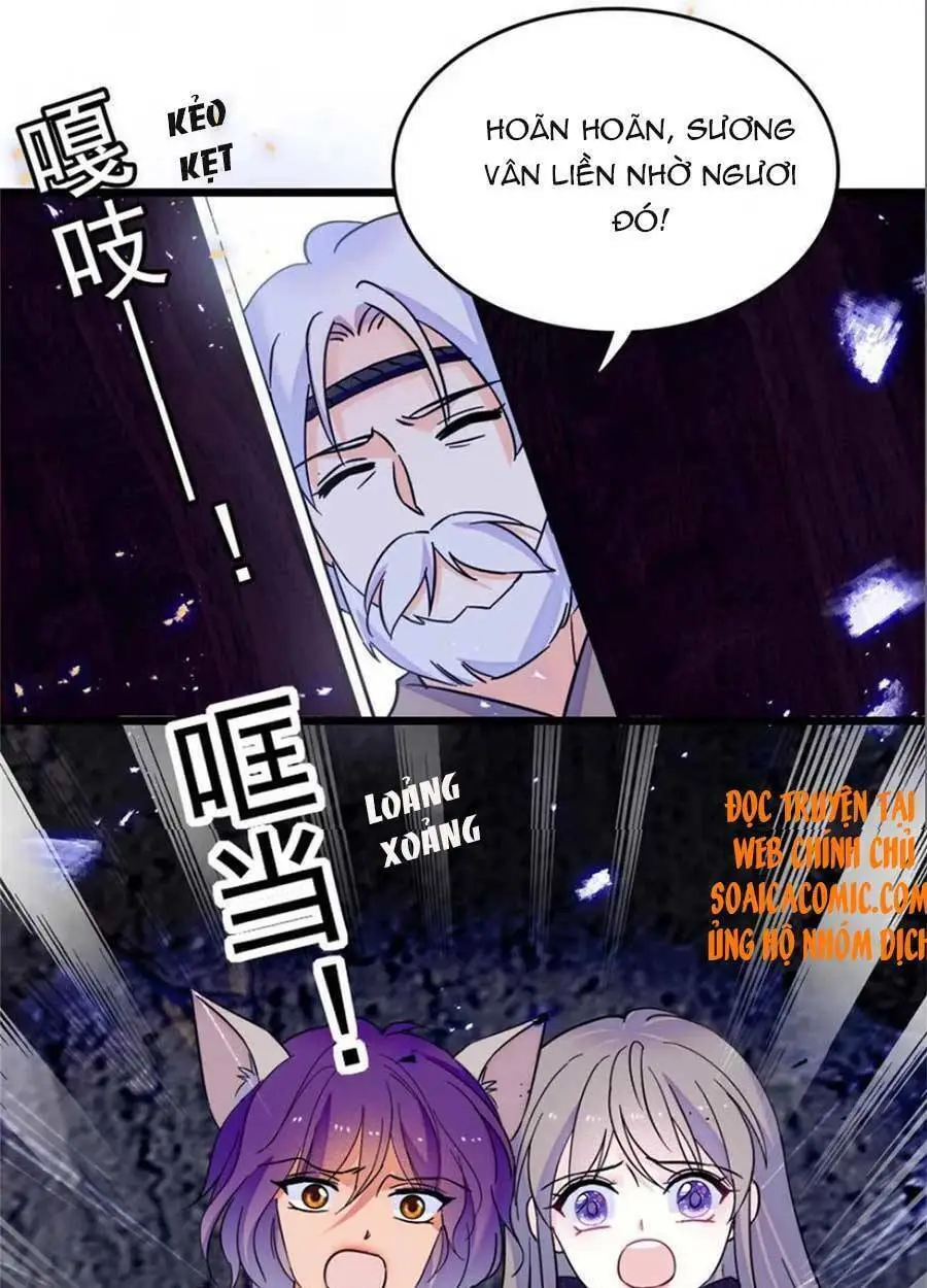 Chapter 53