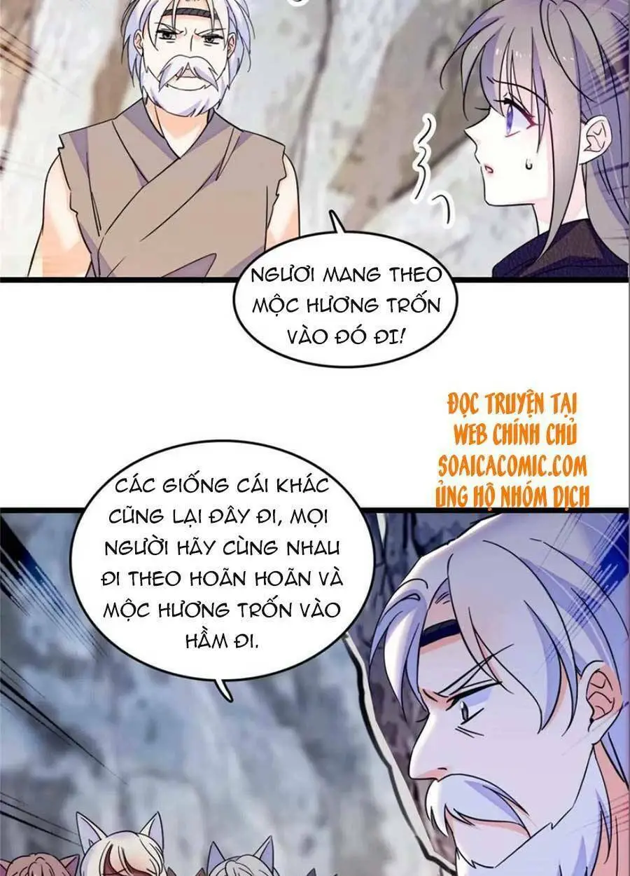 Chapter 53