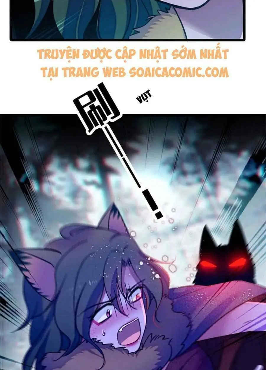 Chapter 49