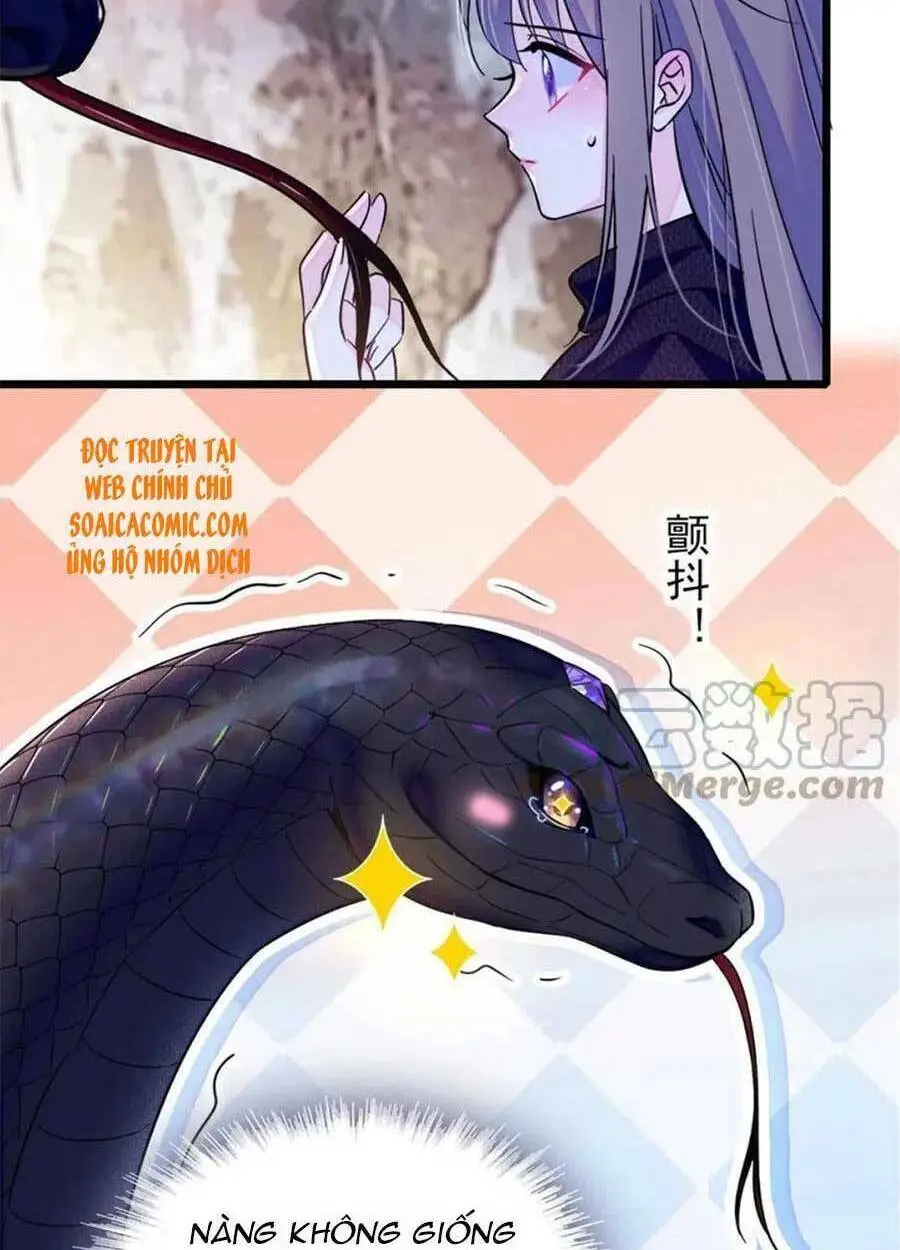 Chapter 47