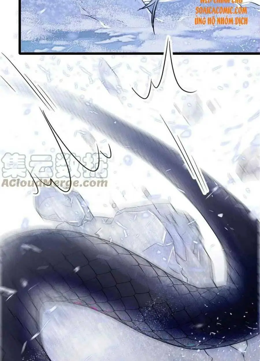 Chapter 47