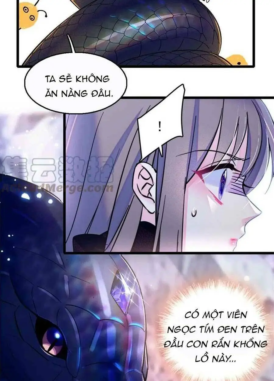 Chapter 47