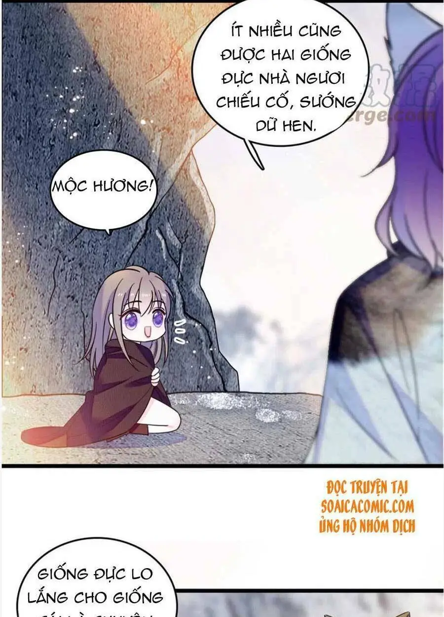 Chapter 44