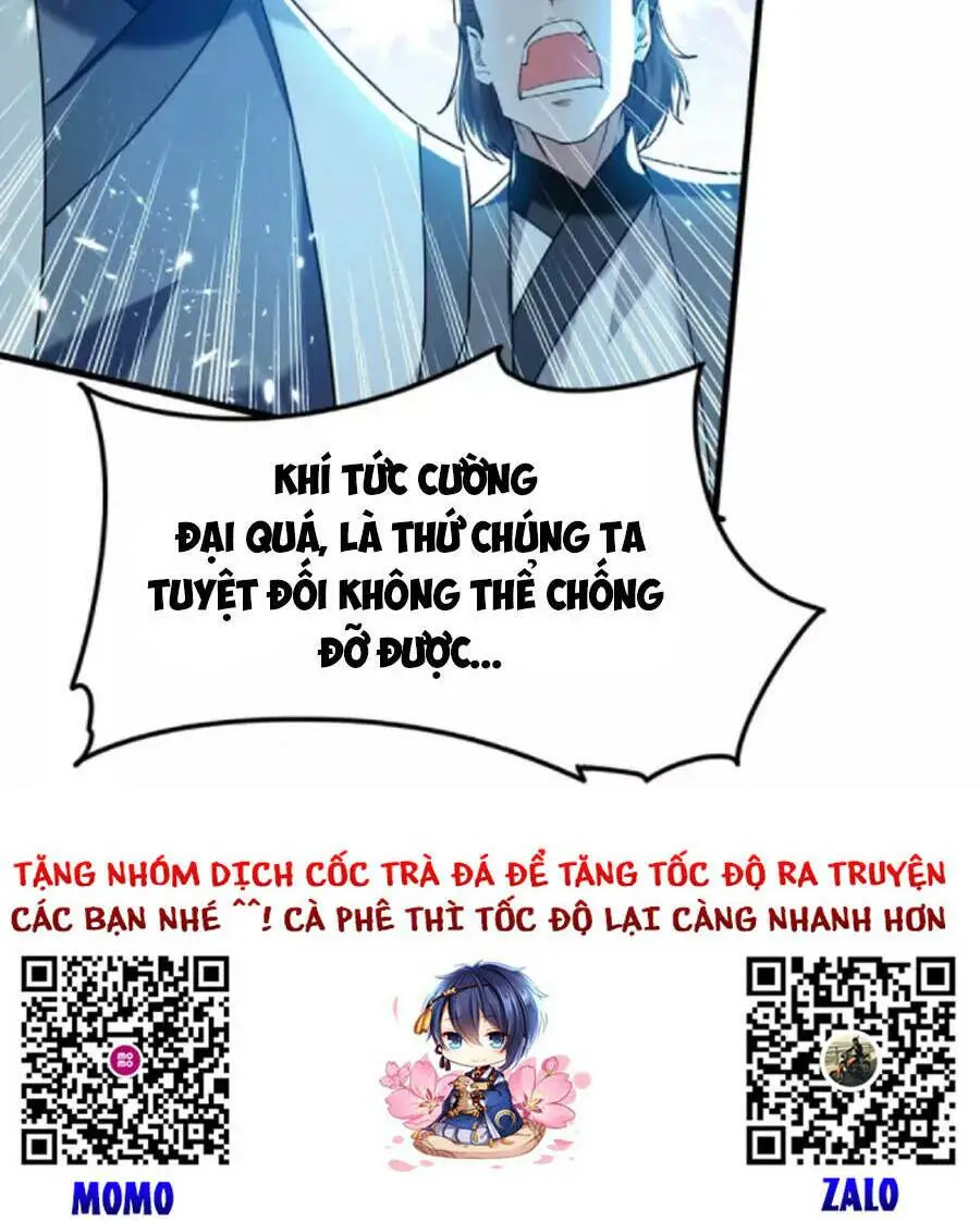 Chapter 295