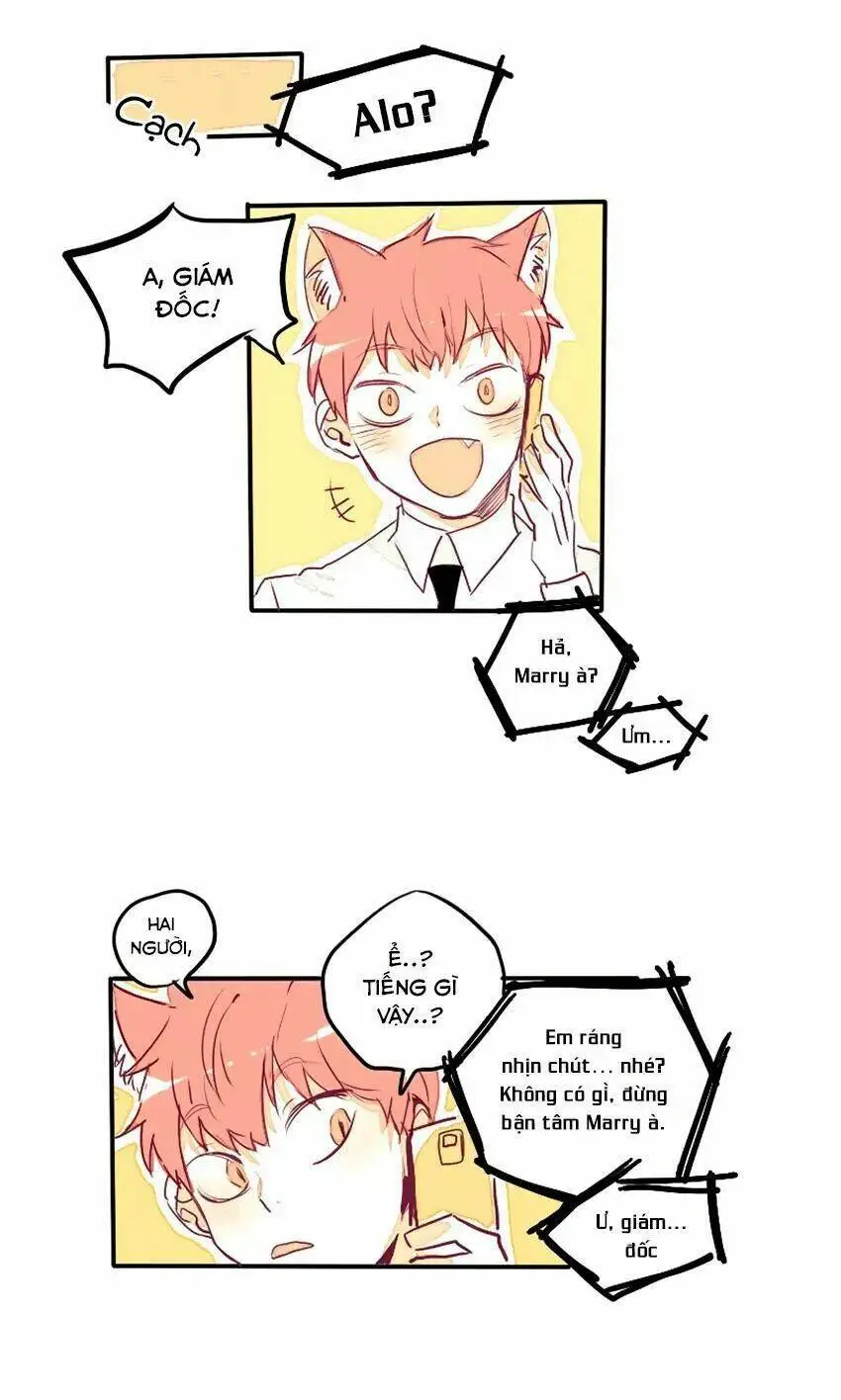 Chapter 28