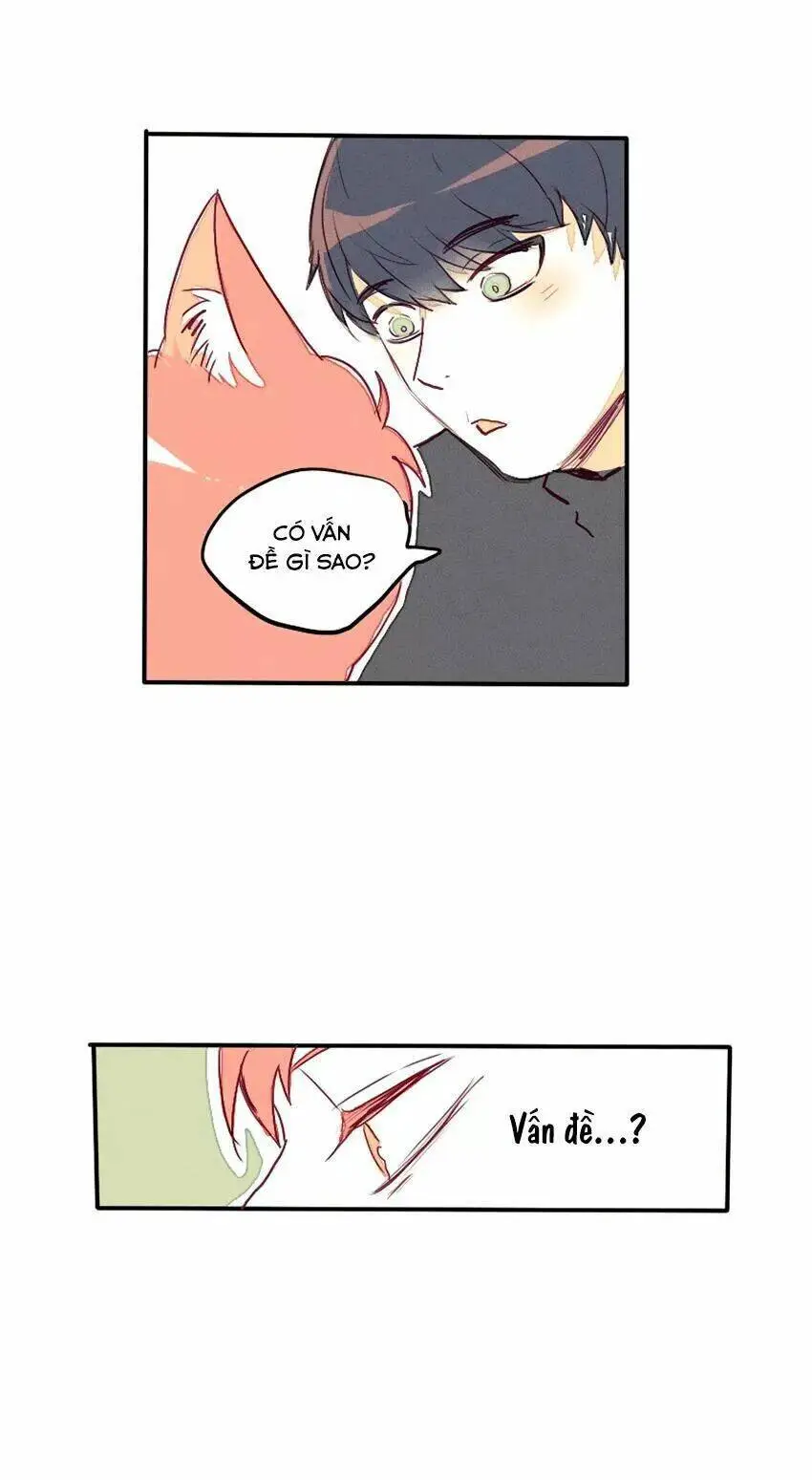 Chapter 28