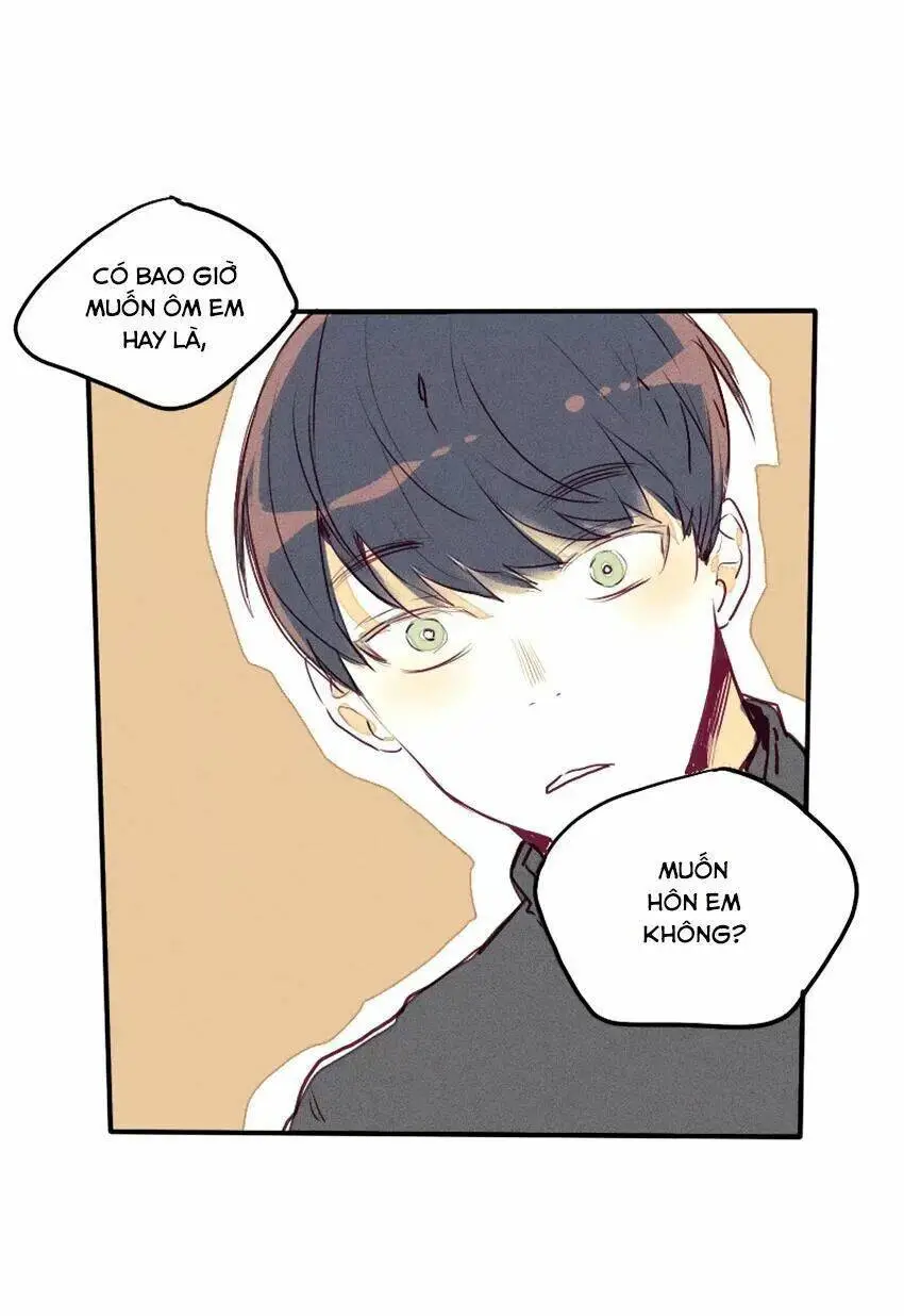 Chapter 28
