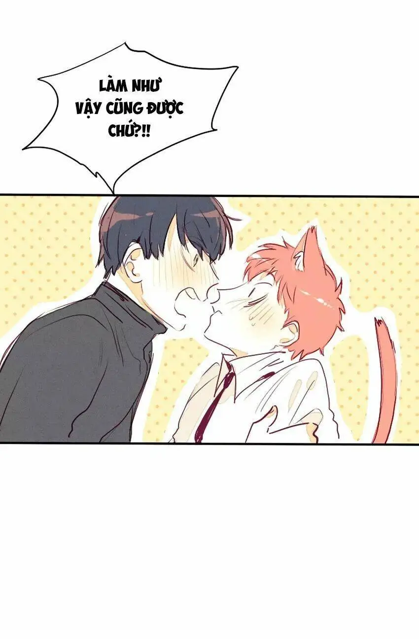 Chapter 28