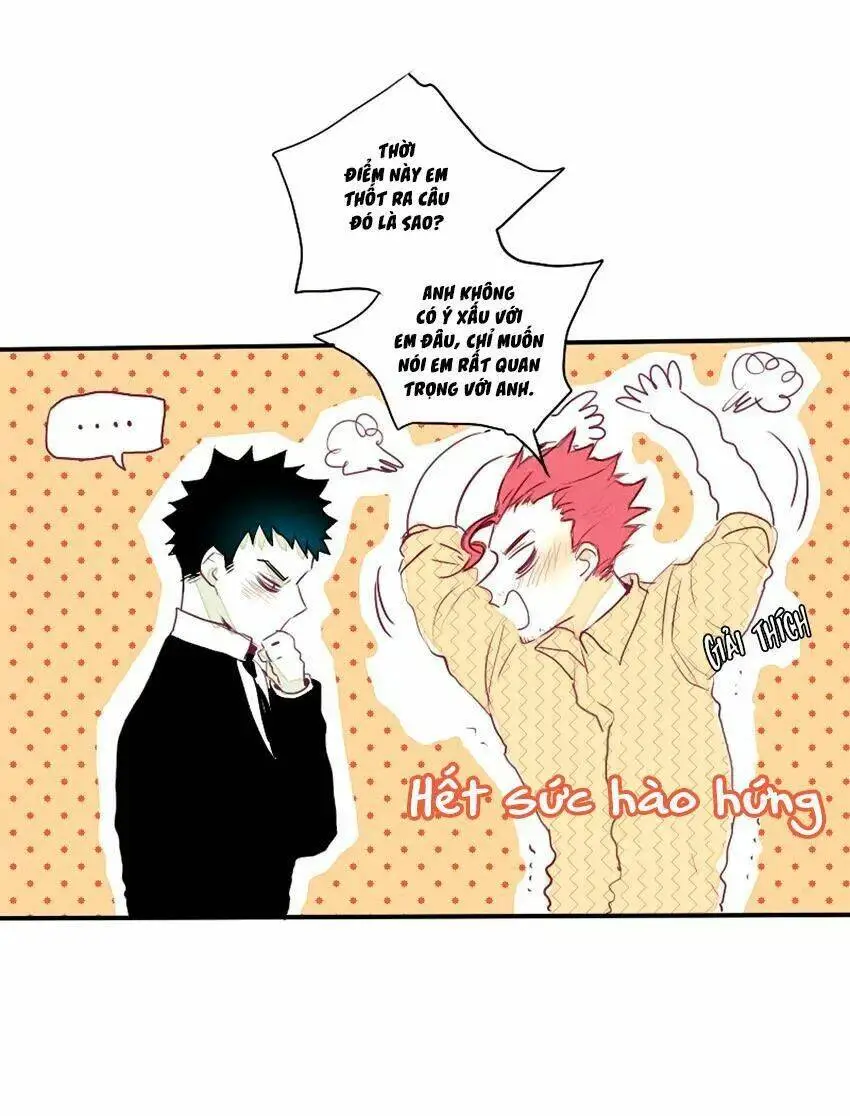 Chapter 28