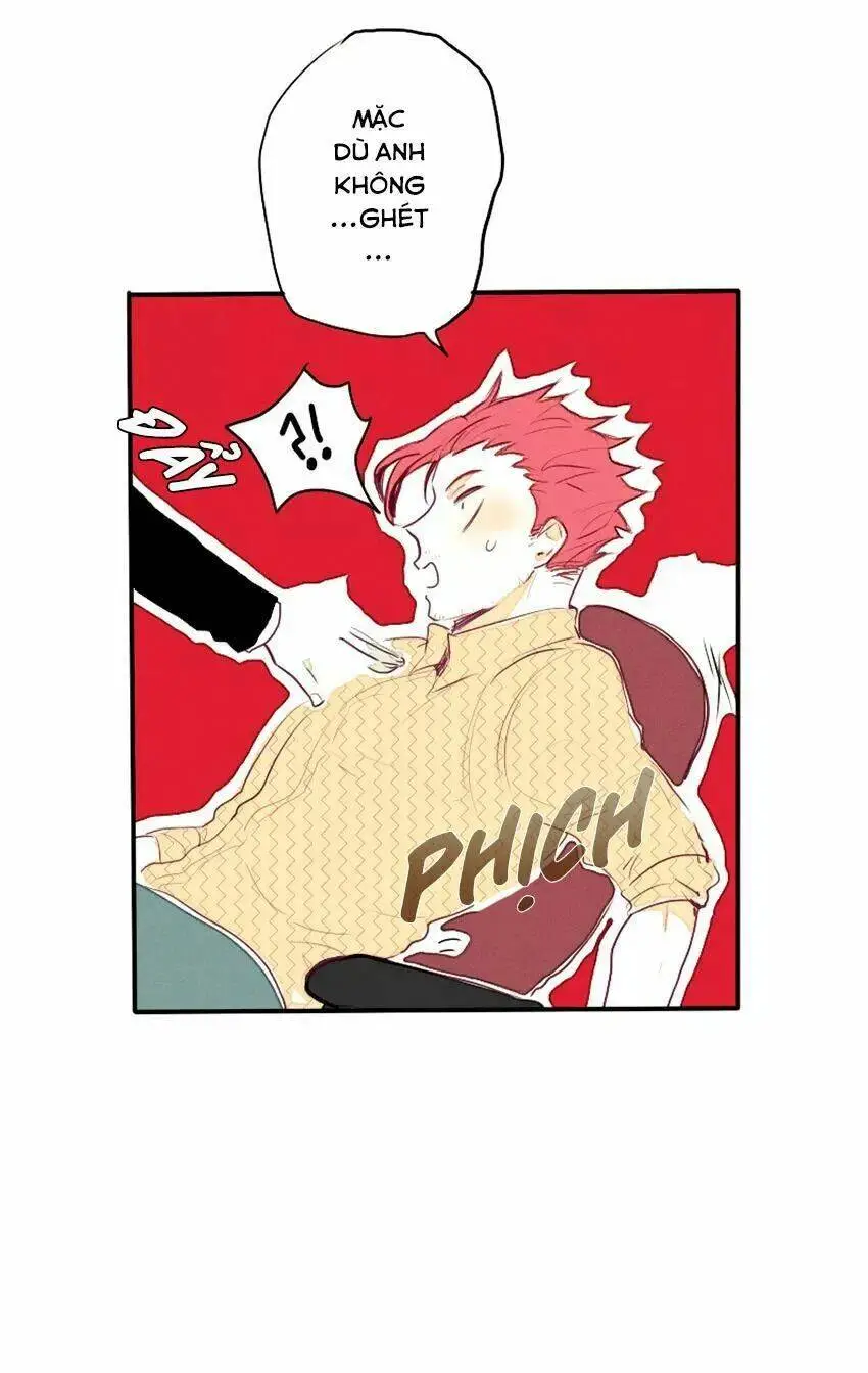 Chapter 28
