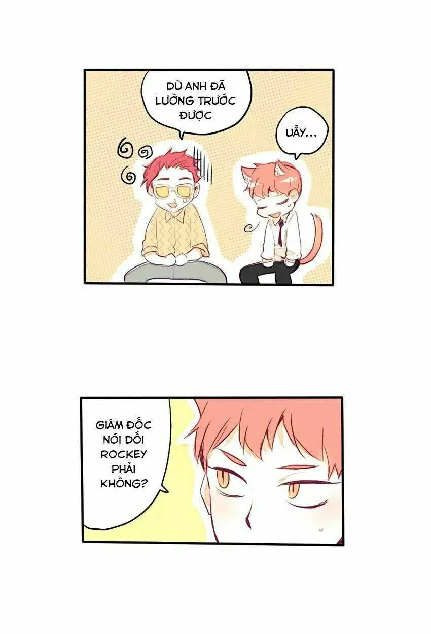 Chapter 26