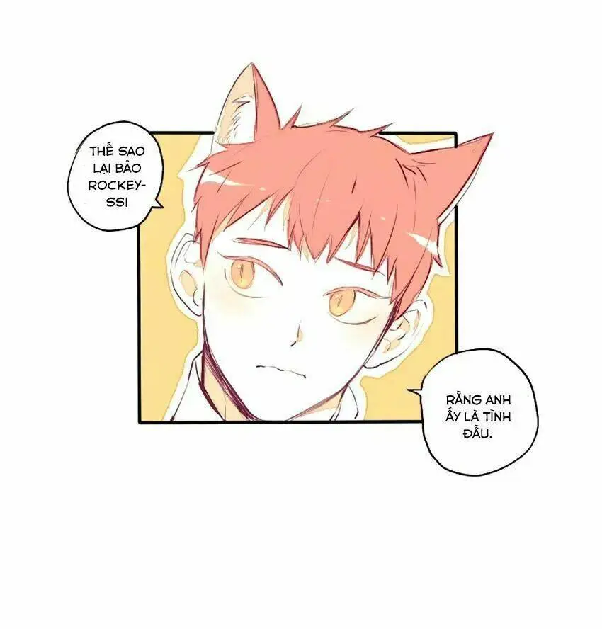Chapter 26