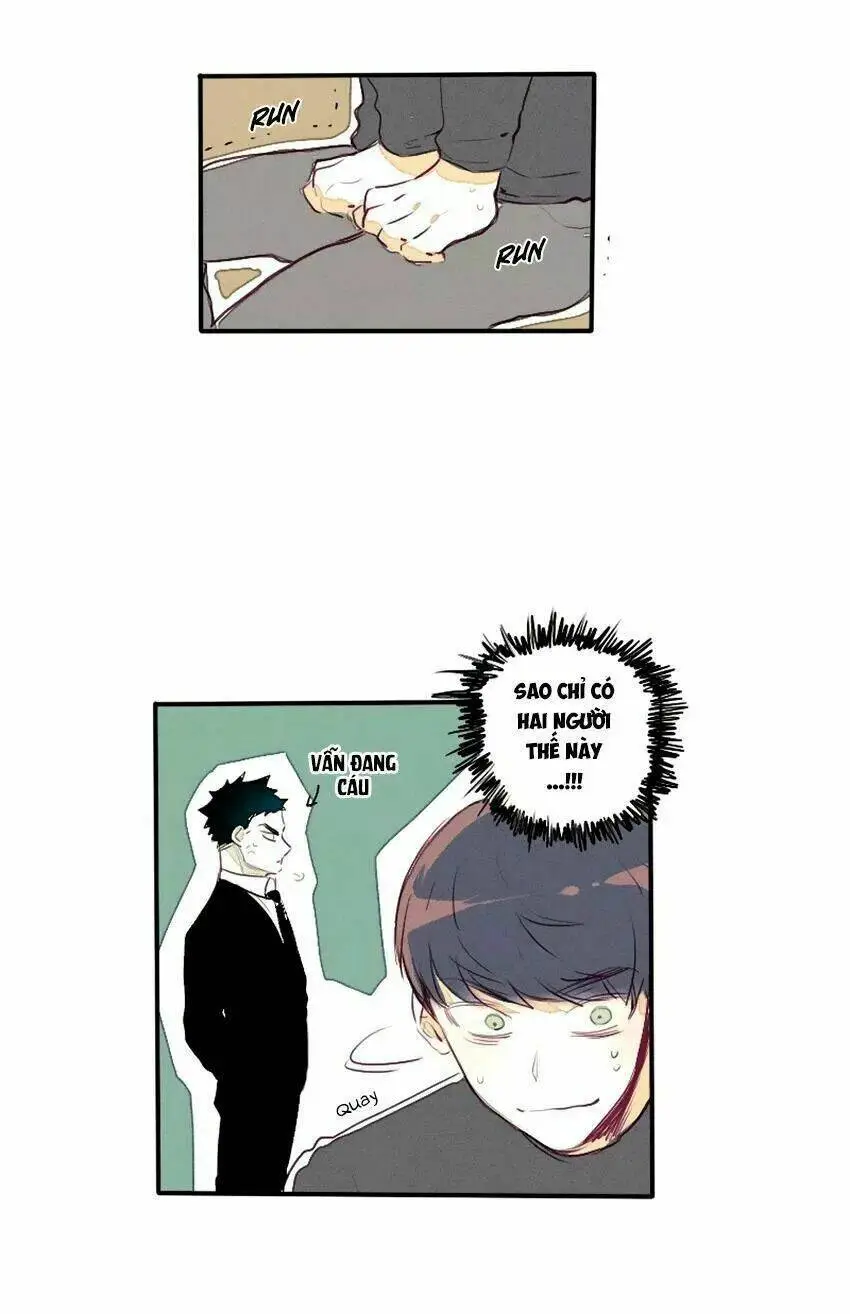 Chapter 26