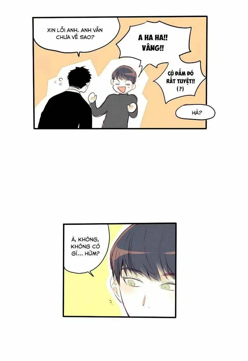 Chapter 26