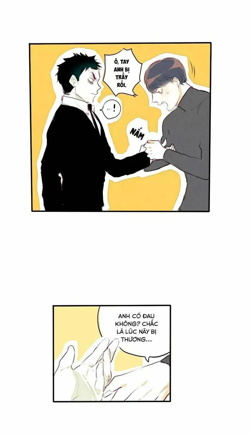 Chapter 26