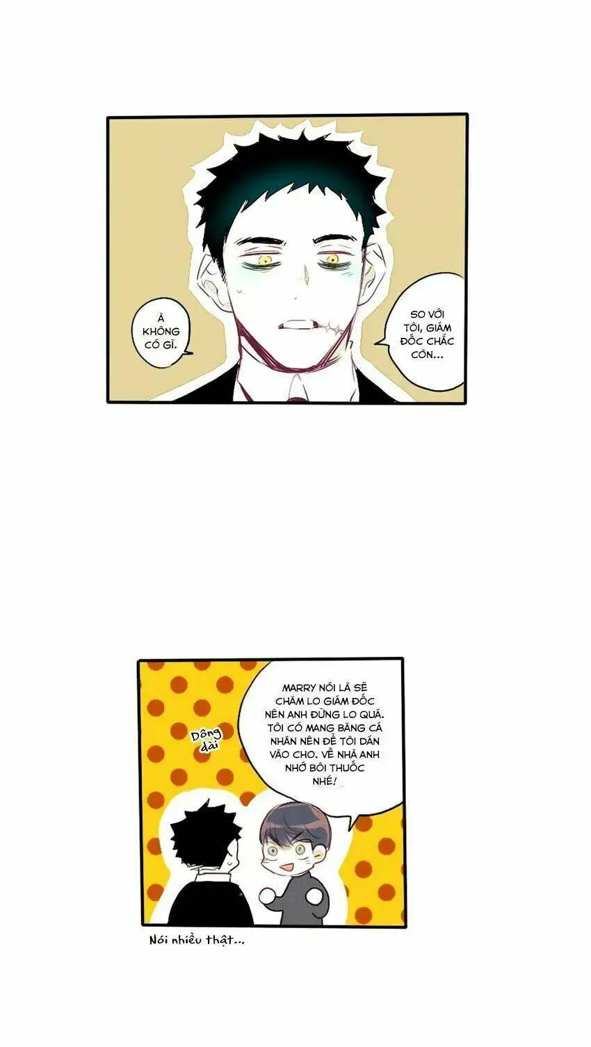 Chapter 26