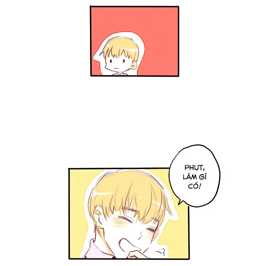 Chapter 25