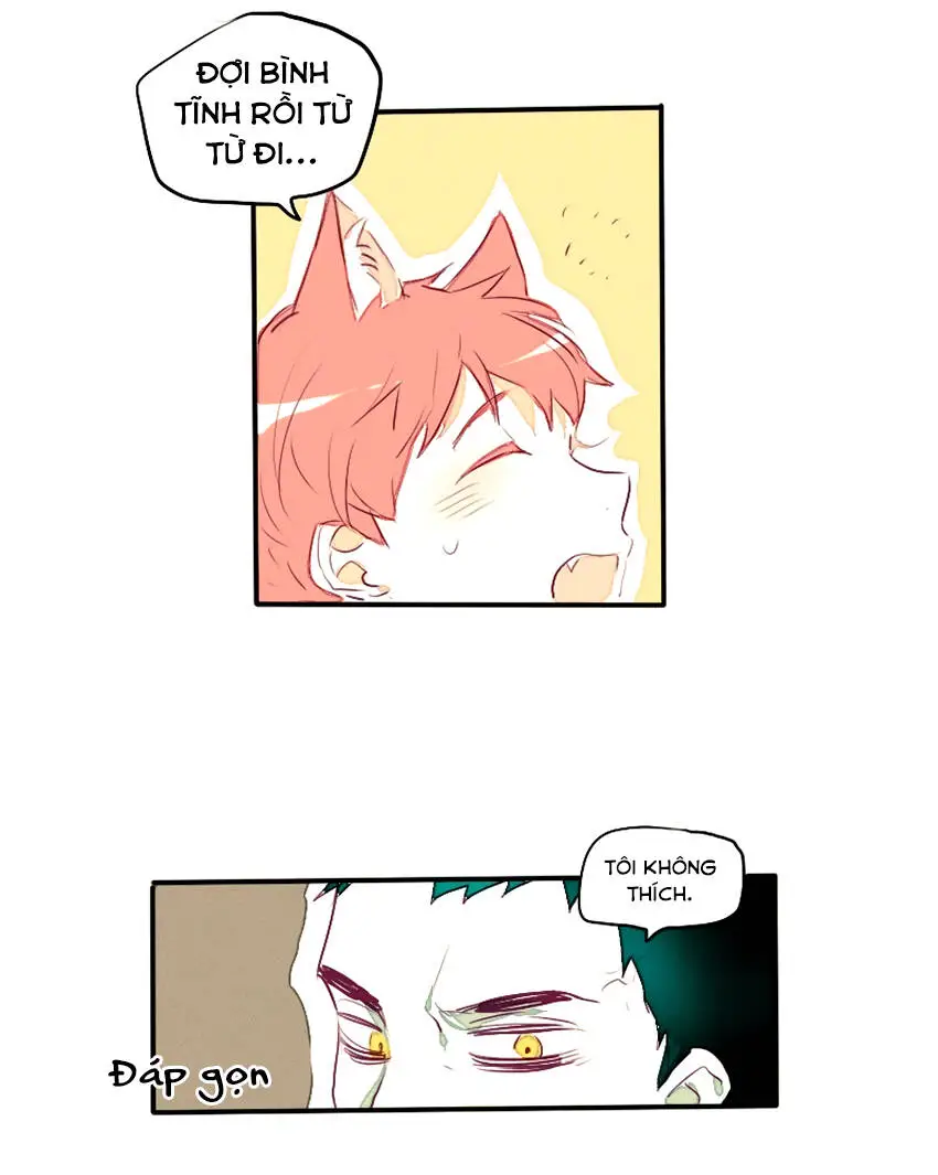 Chapter 25